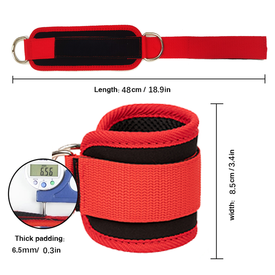 اللياقة البدنية الكاحل الأشرطة - مراجعة D Ring Strap وسعره